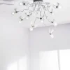 Birdie's Nest