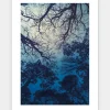 Blue Forest