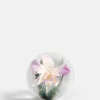 Botanical Paperweight - Orchid