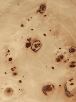 Burl Post Coffee Table