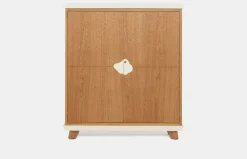 Cabinet 160