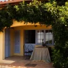 Emma Table Cloth - 220x140 cm