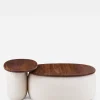 Flores Coffee Table by Luca Nichetto