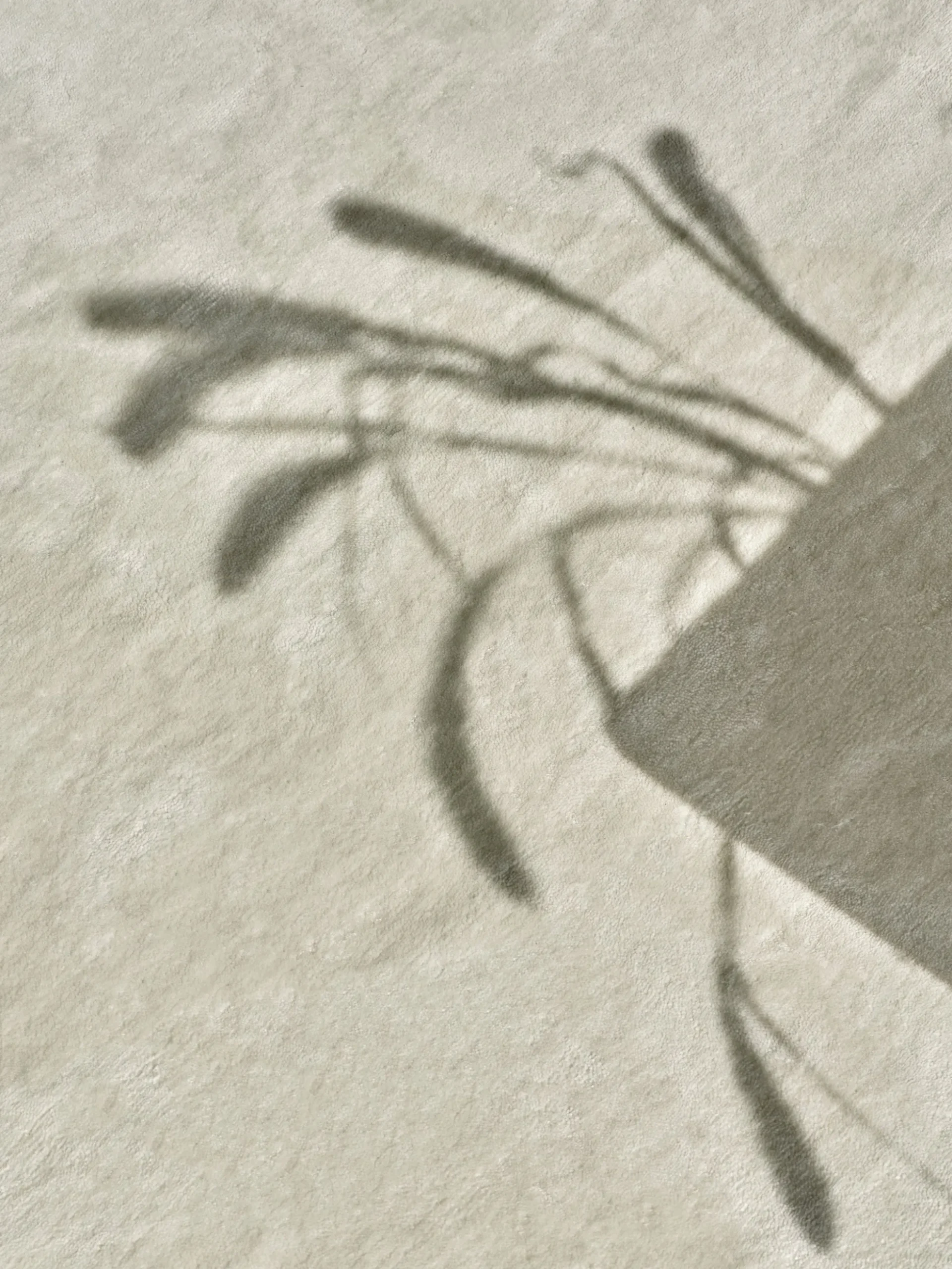 Grand - Dusty White