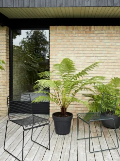 Hee Dining Chair