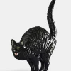 Hissing Cat Gato