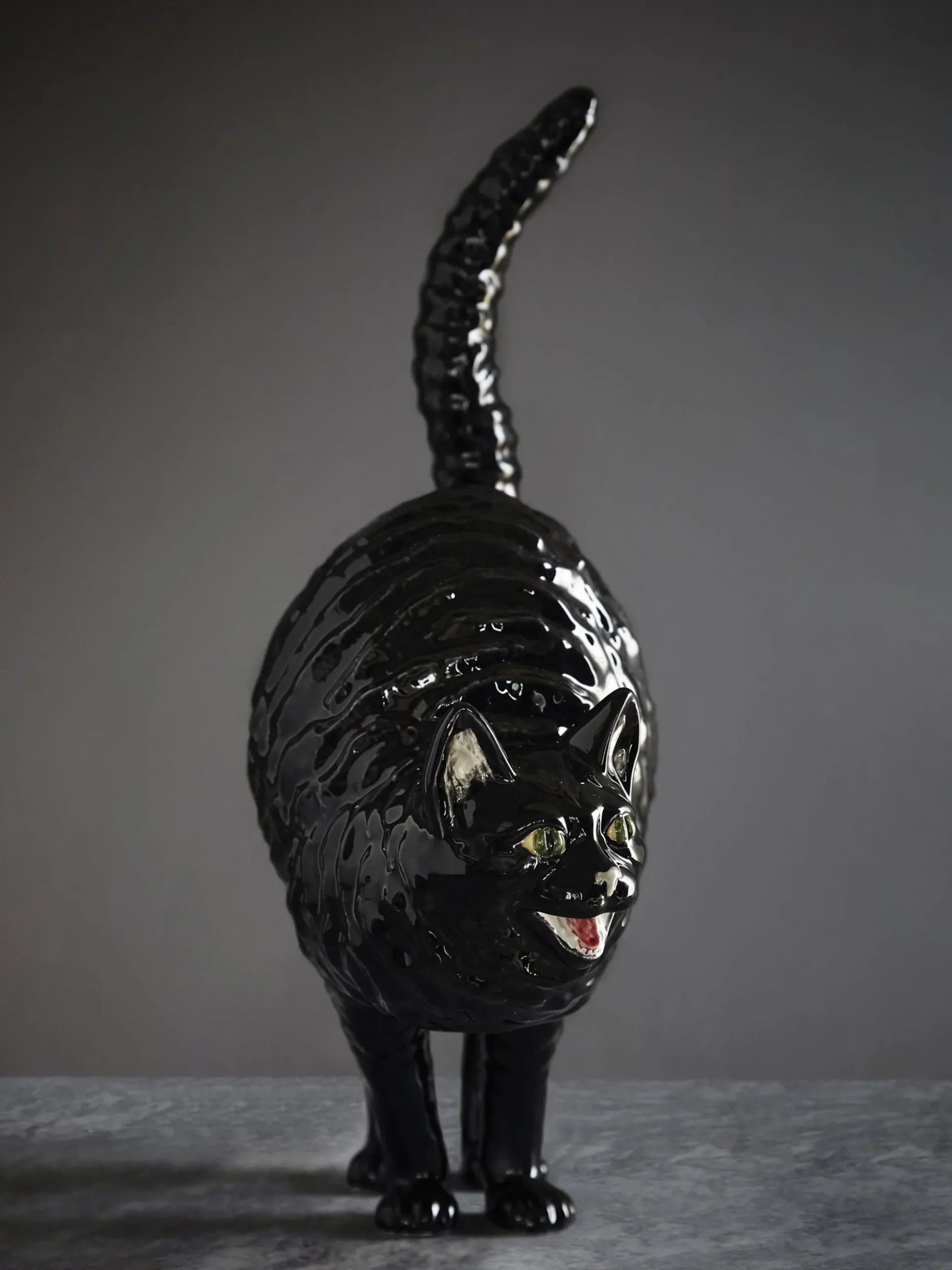 Hissing Cat Gato