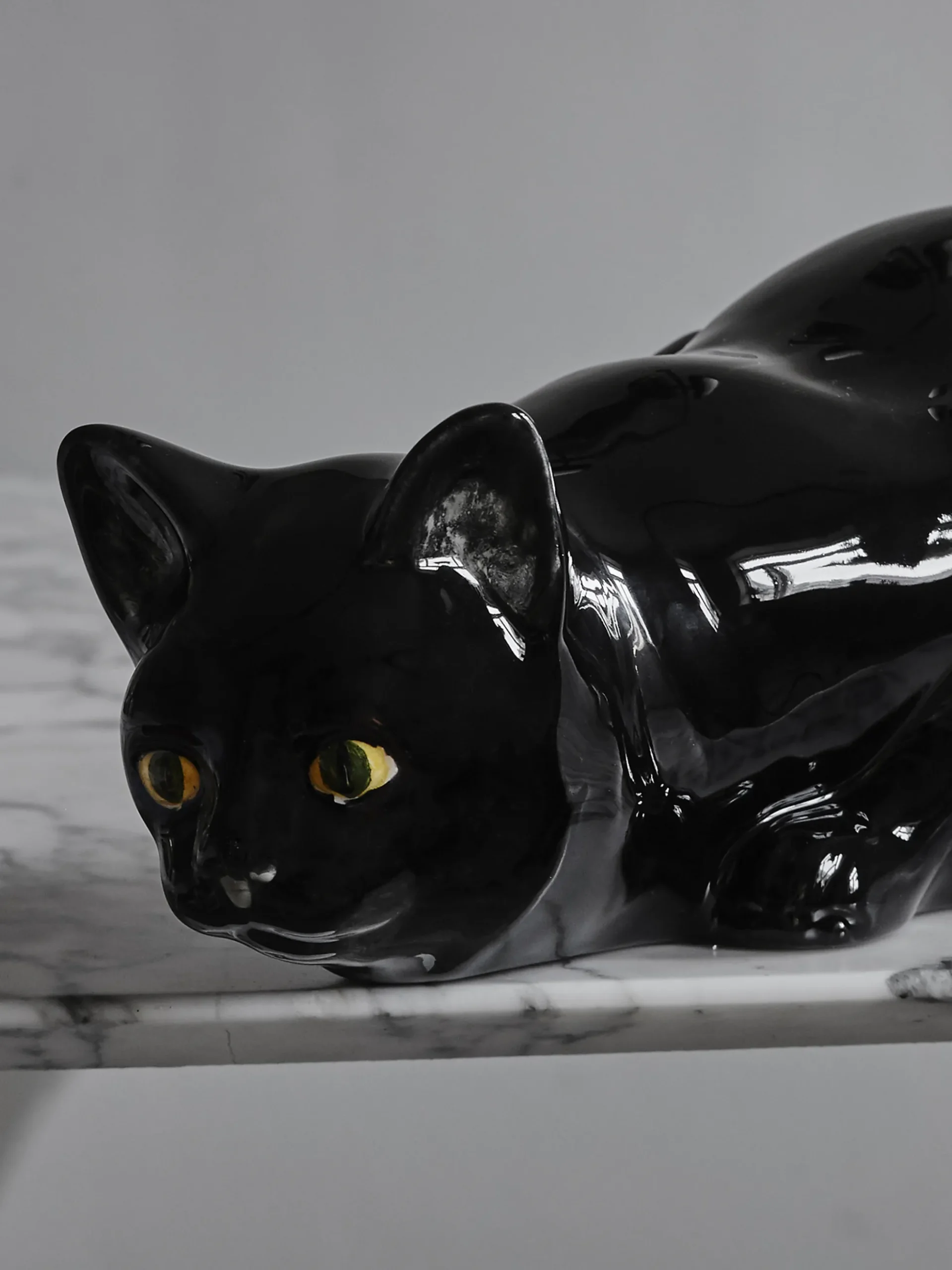 Hunting Cat