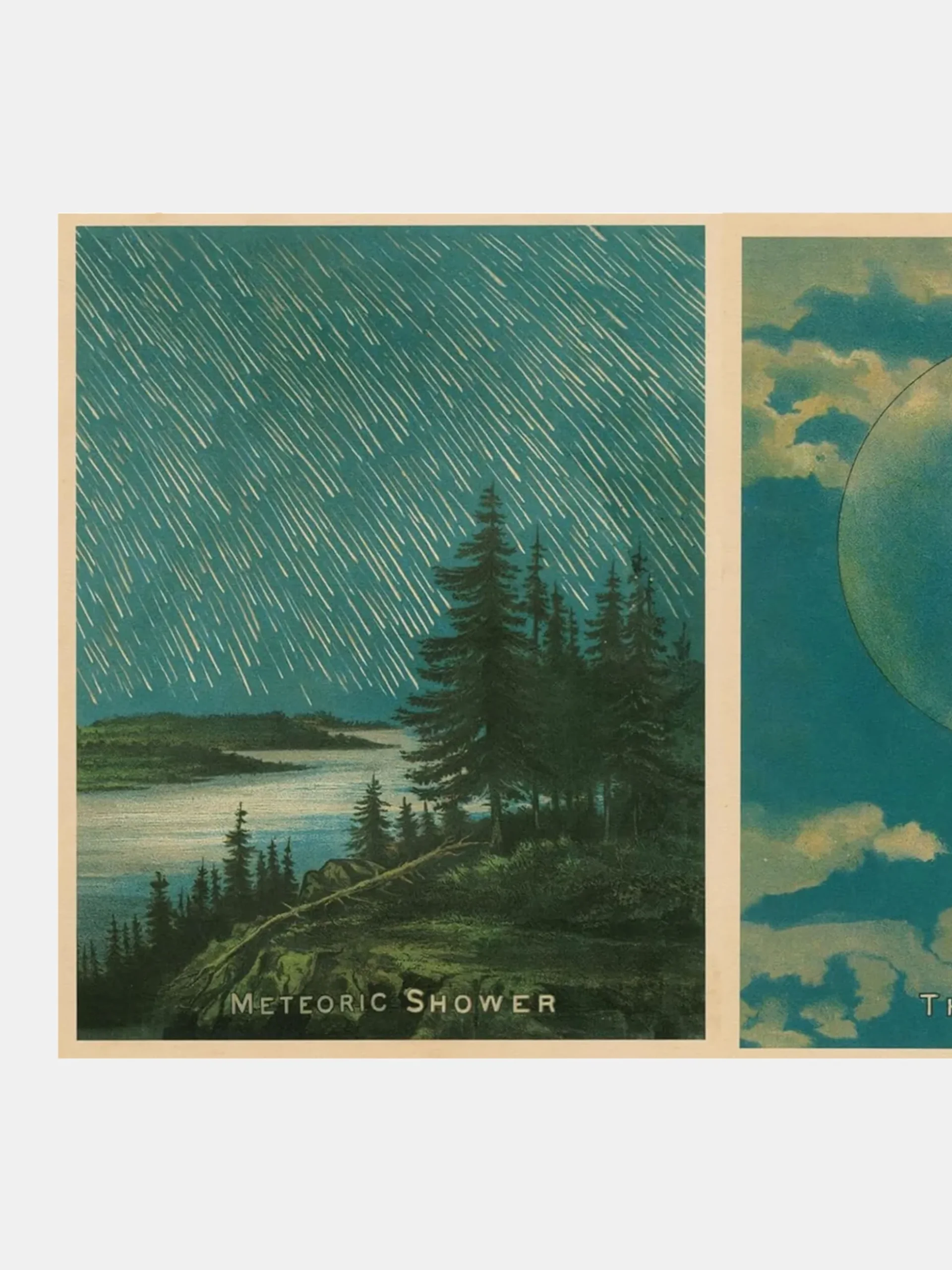 John Derian Picture Book II