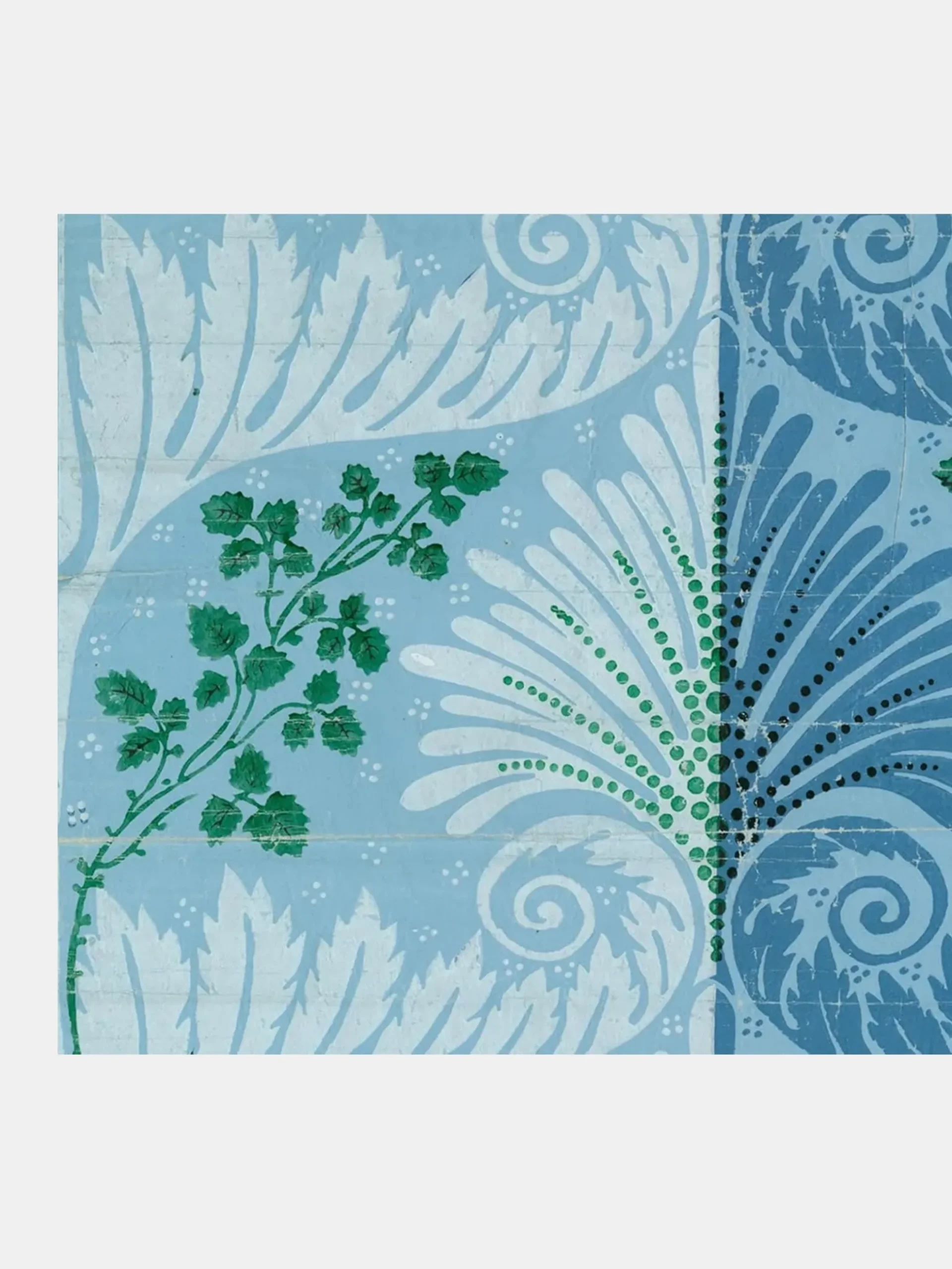 John Derian Picture Book II