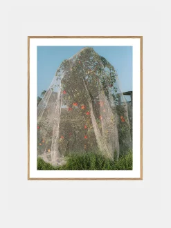 Lee Burnett - Apple Tree