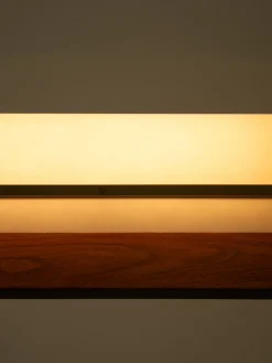 Modernist Linear Suspension Lamp