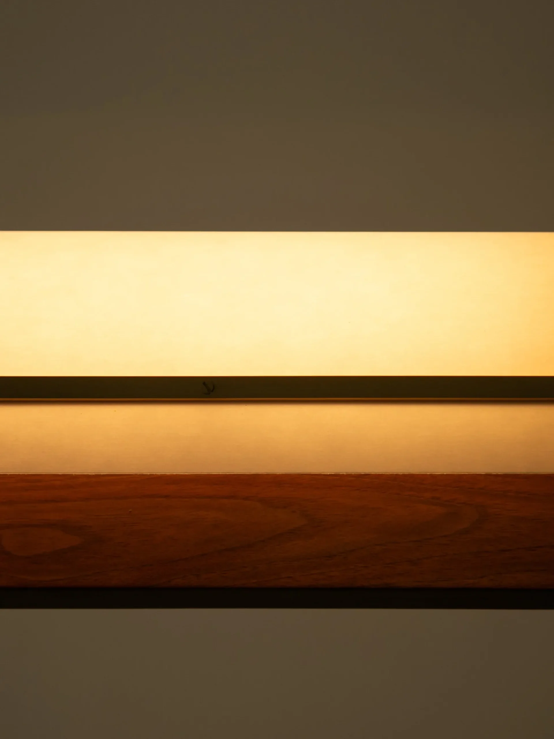 Modernist Linear Suspension Lamp
