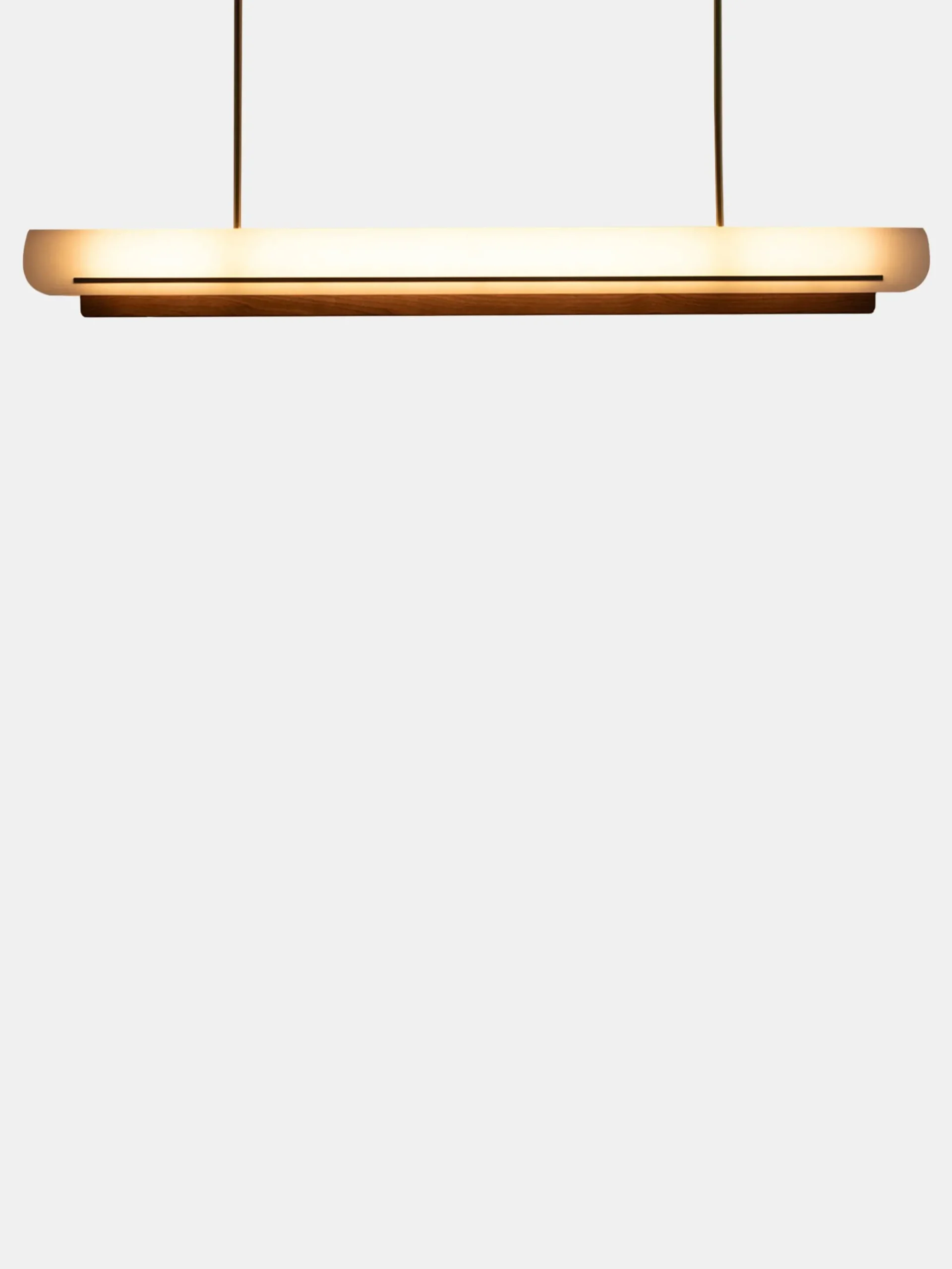 Modernist Linear Suspension Lamp
