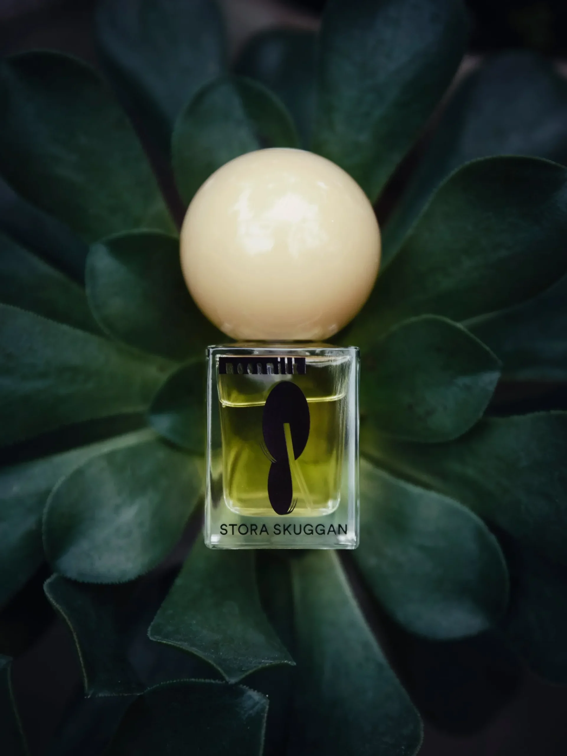 Moonmilk - EdP 30 ml