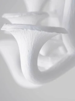 Mushroom Ceiling Light