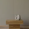 N-CT02 Coffee Table