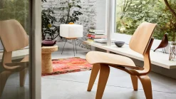 Plywood Group – LCW