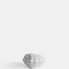 Shell Box