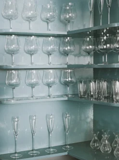Silhouette Champagne Flute
